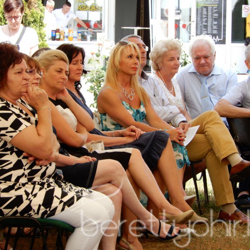 Semmelweis napi party 17